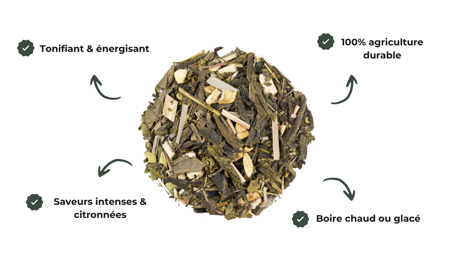 the-vert-gingembre-citronnelle-agriculture-biologique-matin-tonique-rosea