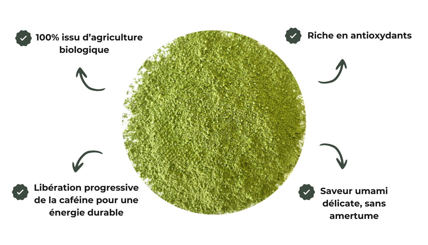 poudre Thé vert Matcha | Cérémonie "Hisui" Biologique