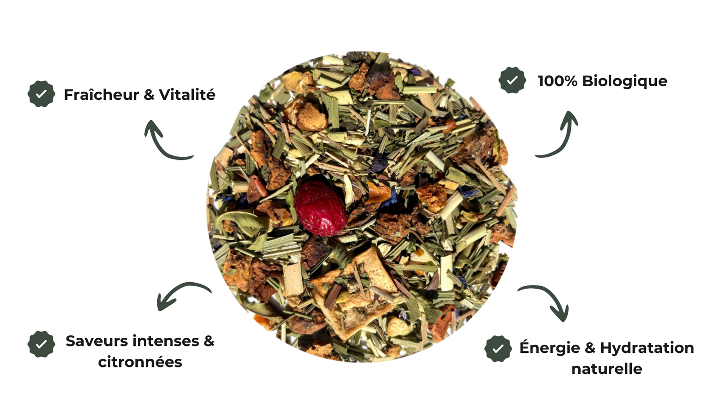 infusion gingembre citronnelle verveine
