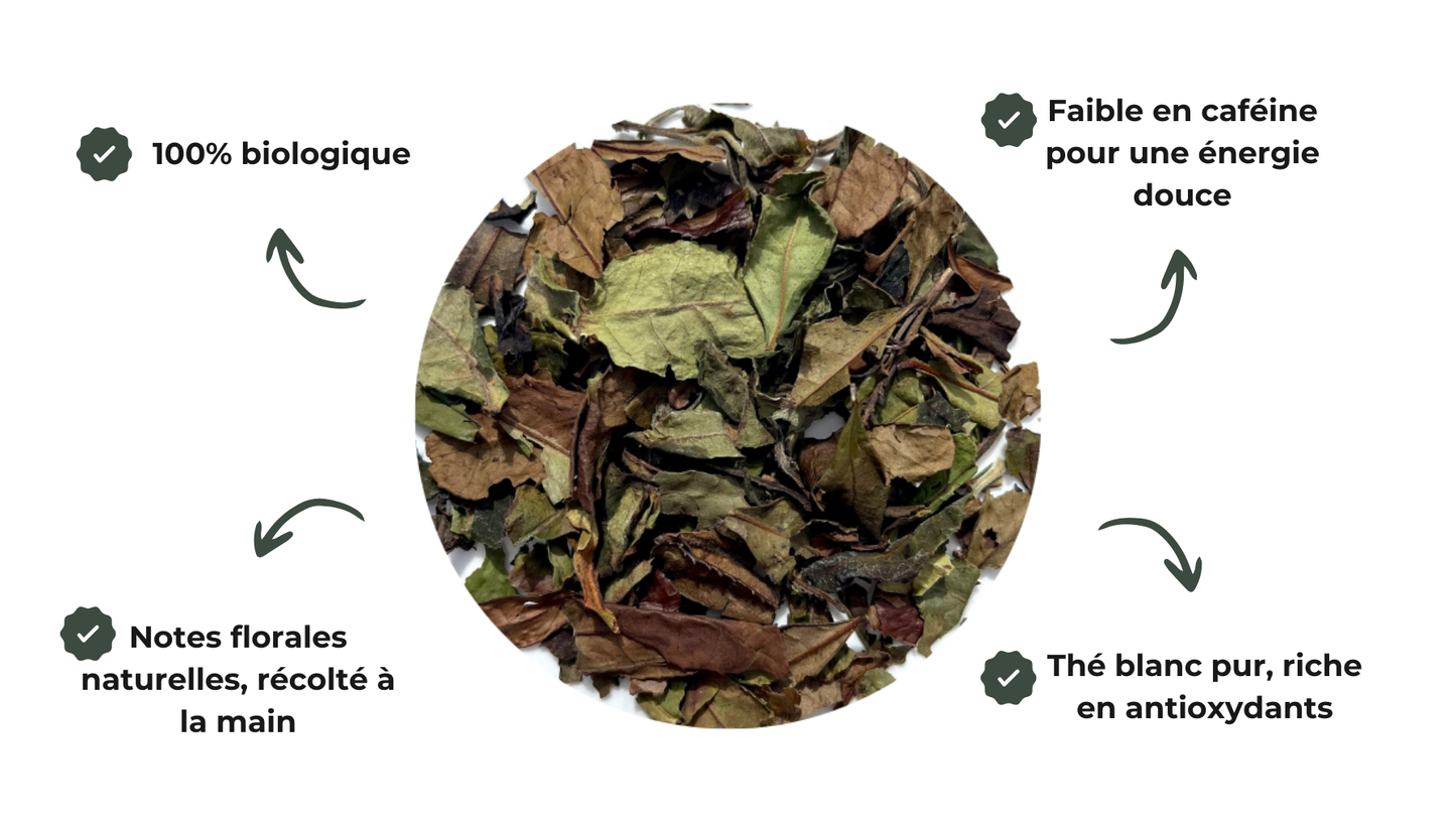 Sachet Paï Mu Tan | Thé Blanc Nature Bio