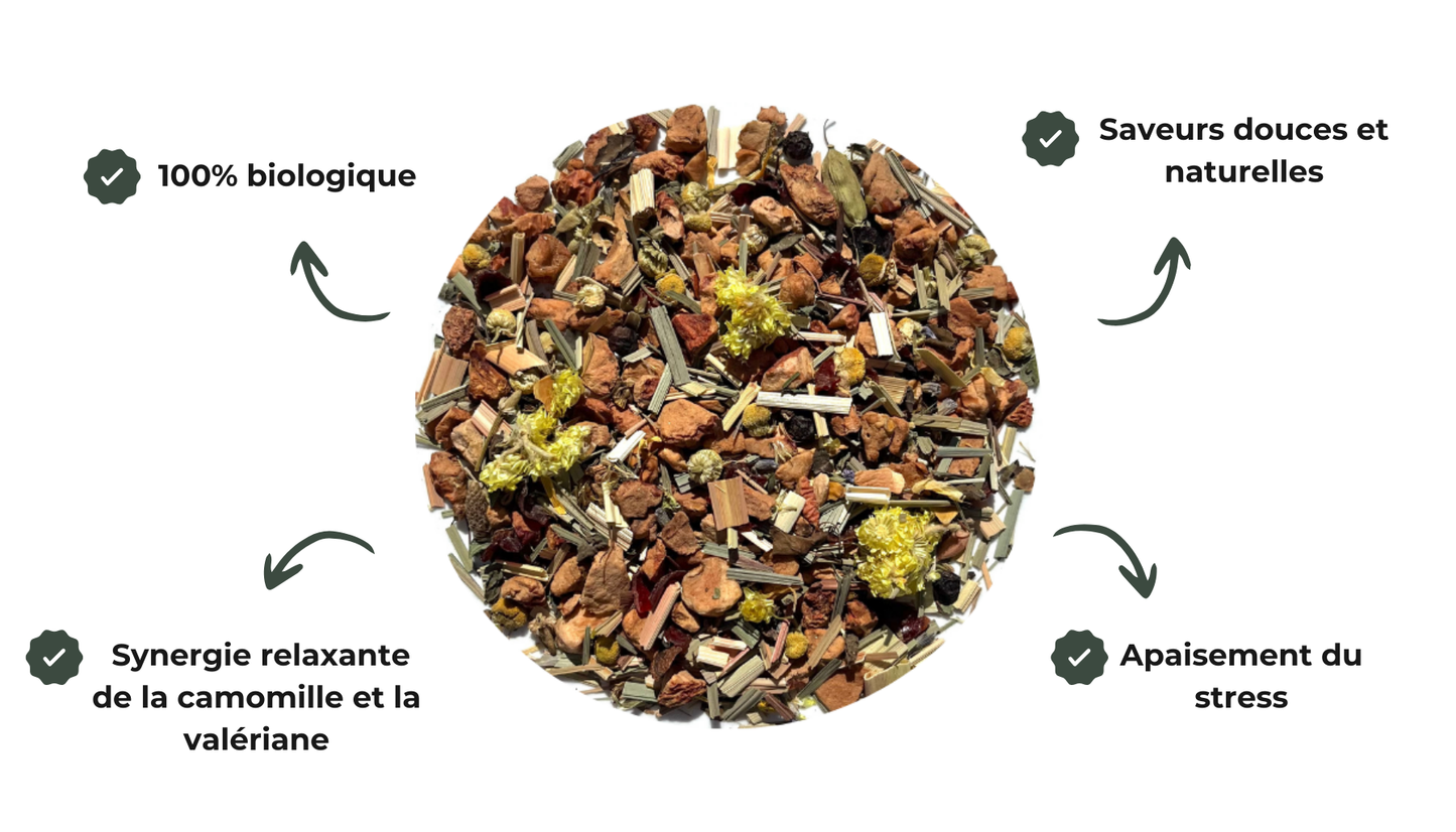 infusions Camomille Menthe Poivrée Lavande Biologique