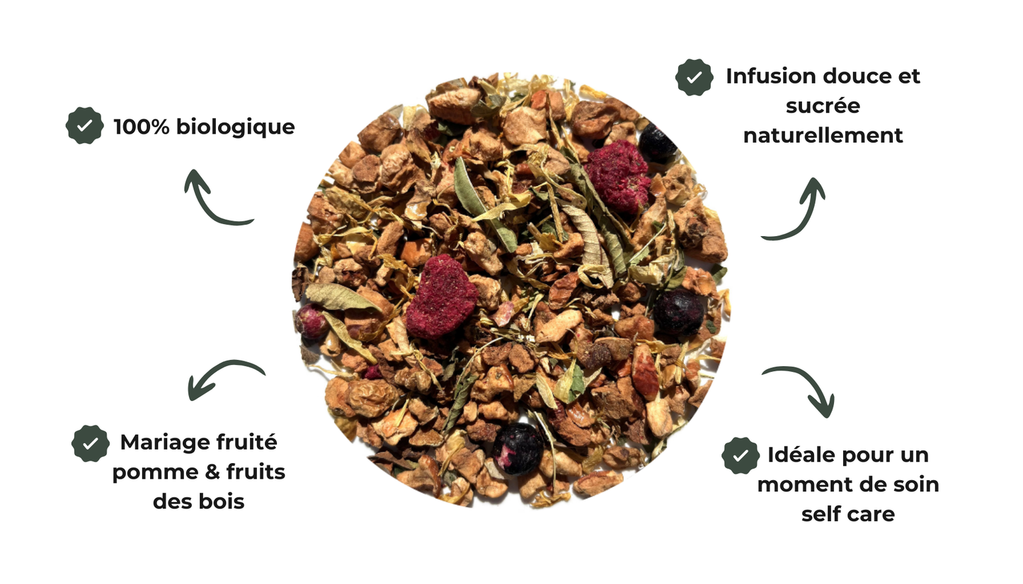 sachets infusion Rooibos Framboise Pomme Bio