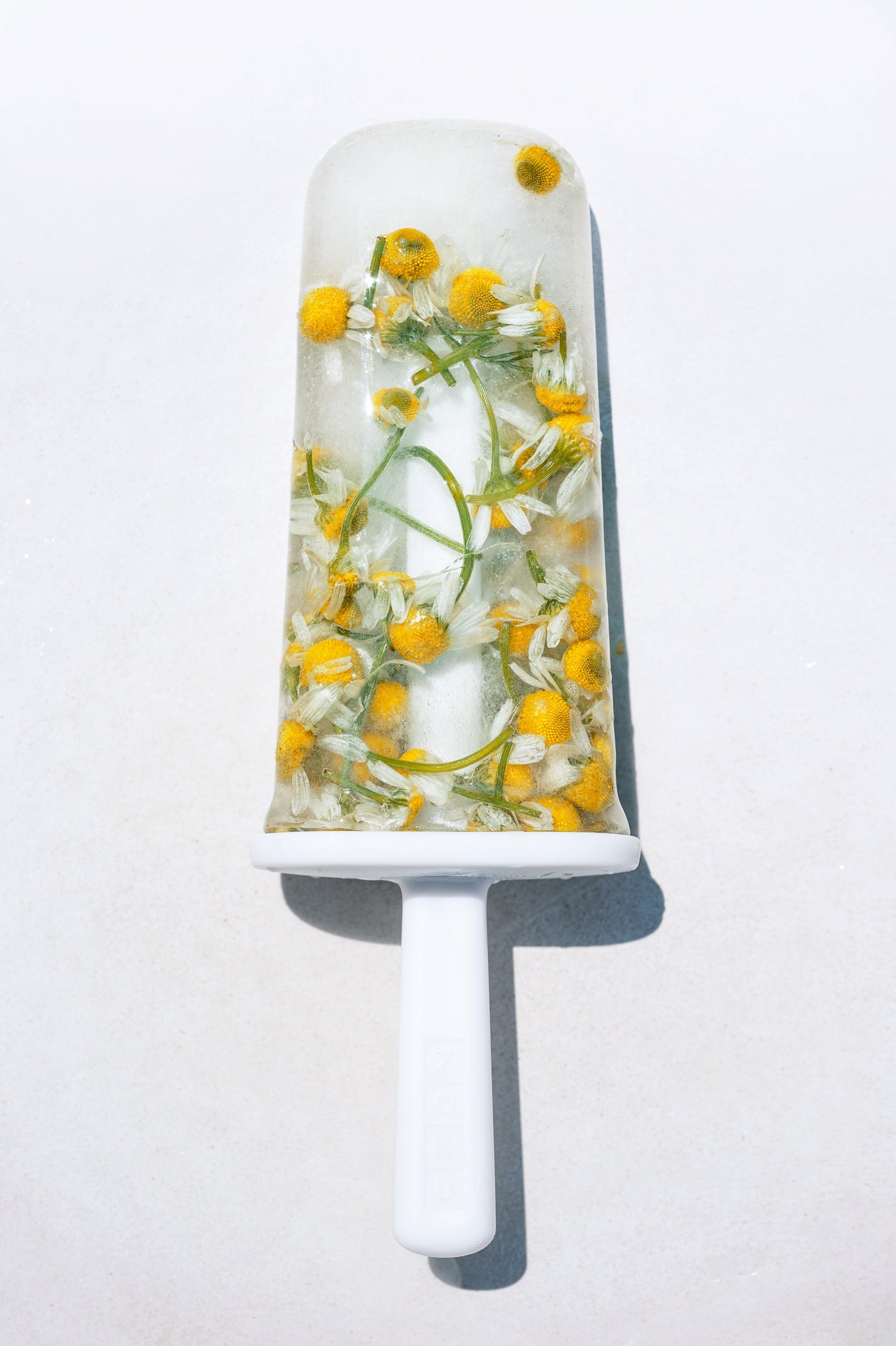 tisanes glacees rosea thes et infusions