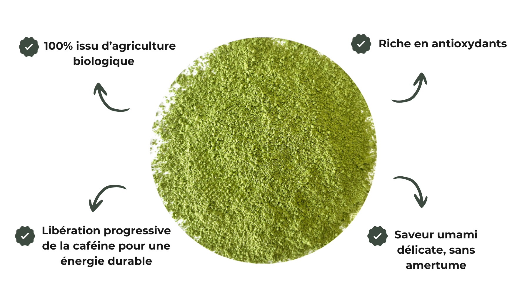 poudre Thé vert Matcha | Cérémonie "Hisui" Biologique
