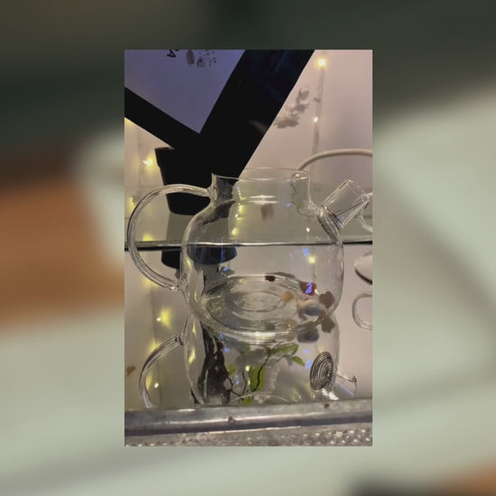 infusion-pop-corn-amande-rosea