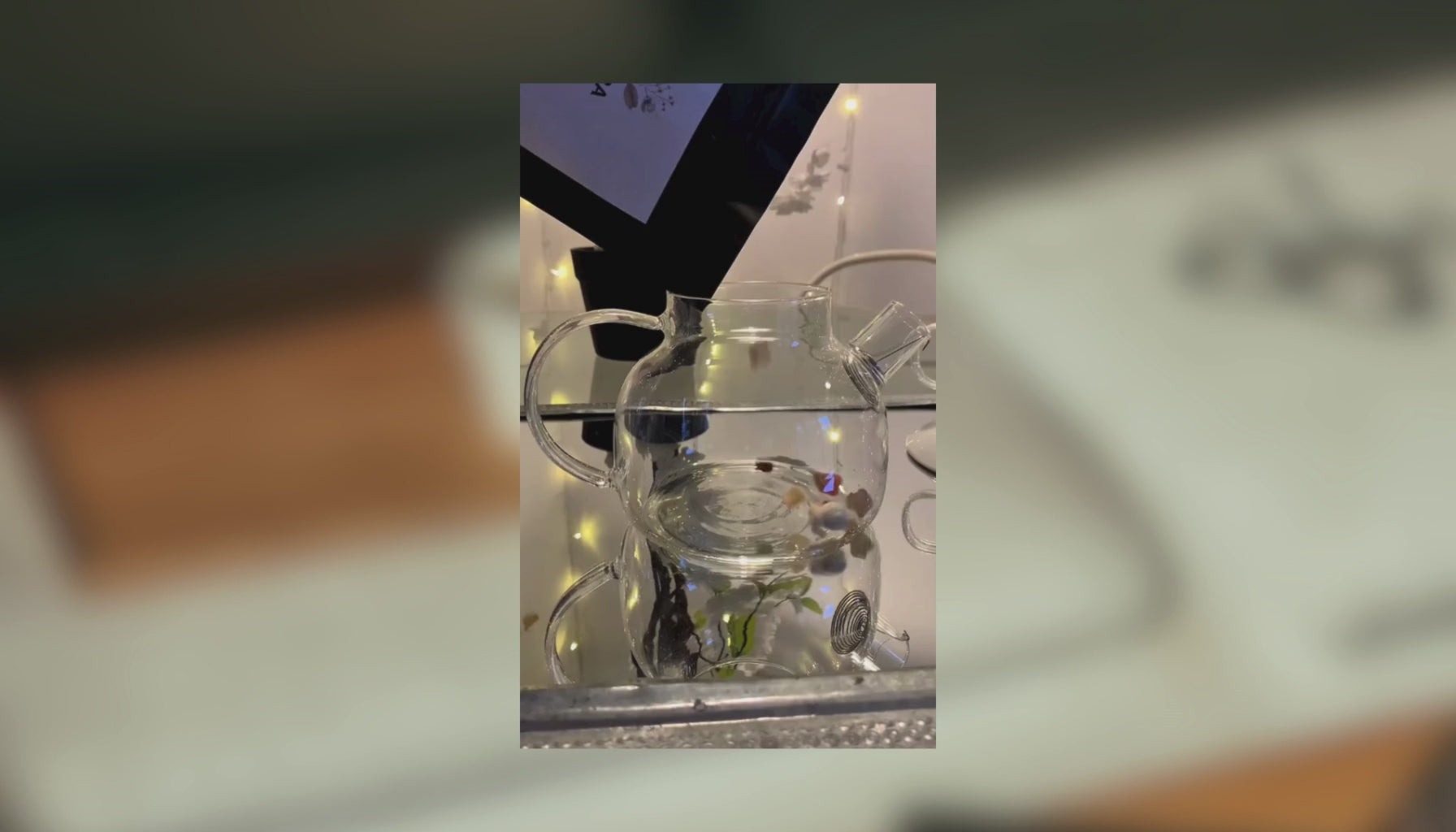 infusion-pop-corn-amande-rosea