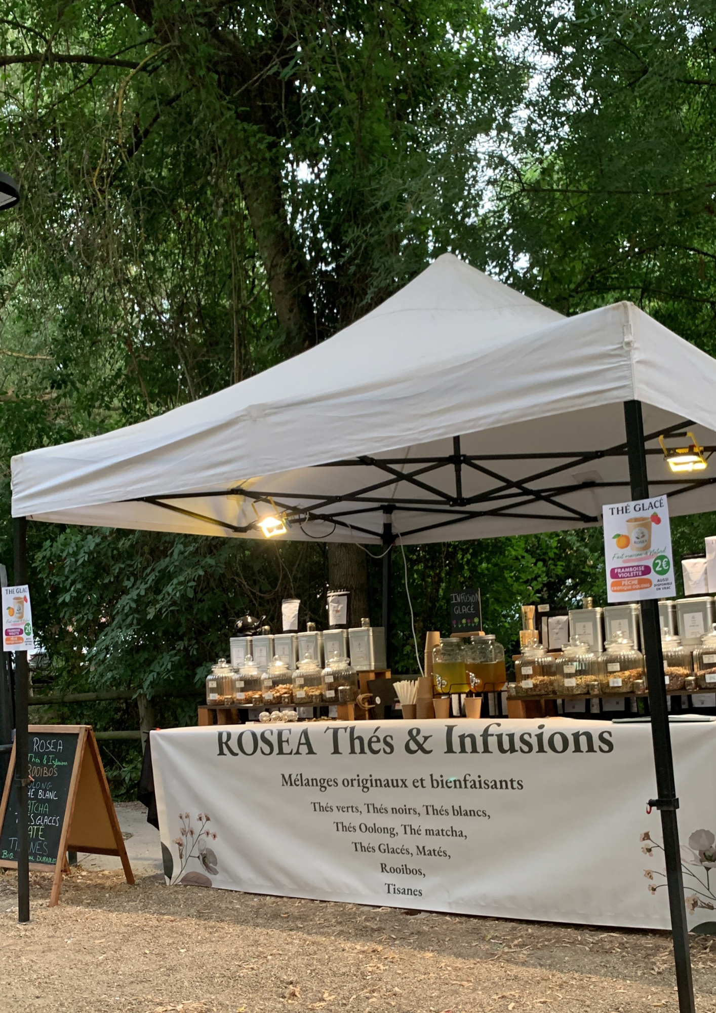 standroseatheinfusions